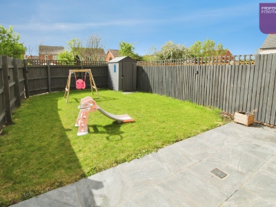 Picture 11